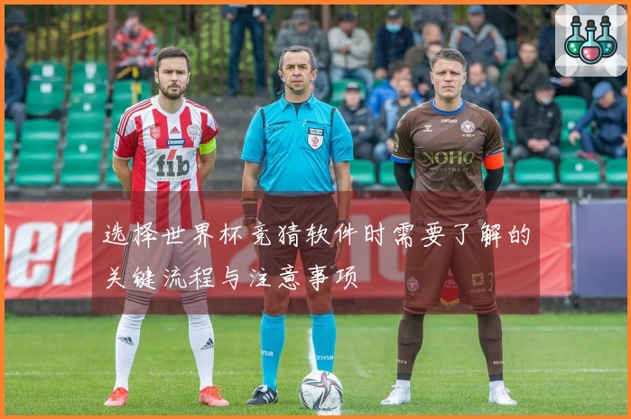 选择世界杯竞猜软件时需要了解的关键流程与注意事项