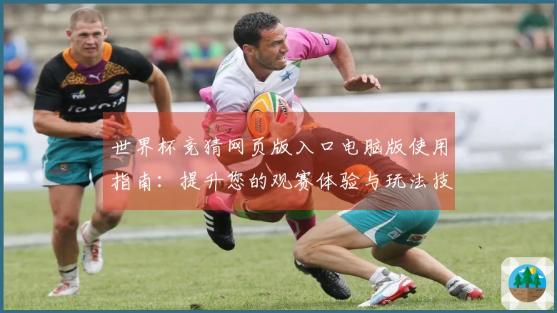 世界杯竞猜网页版入口电脑版使用指南：提升您的观赛体验与玩法技巧