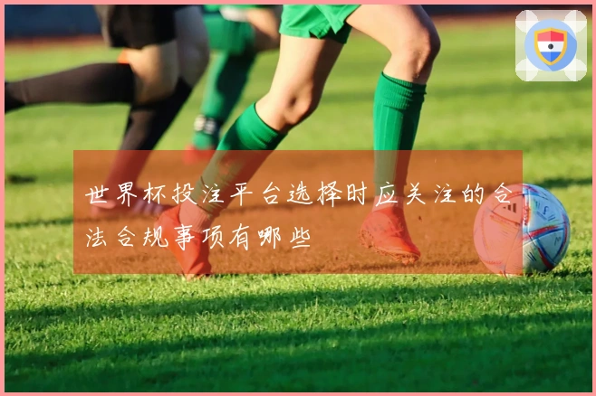 世界杯投注平台选择时应关注的合法合规事项有哪些