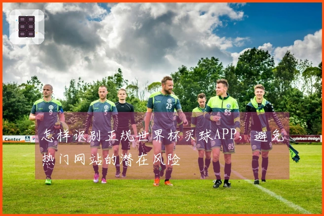 怎样识别正规世界杯买球APP,避免热门网站的潜在风险