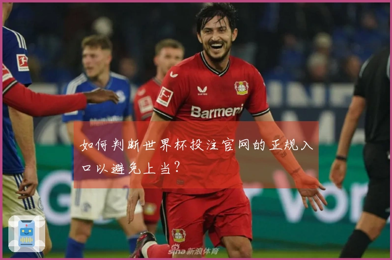 如何判断世界杯投注官网的正规入口以避免上当？