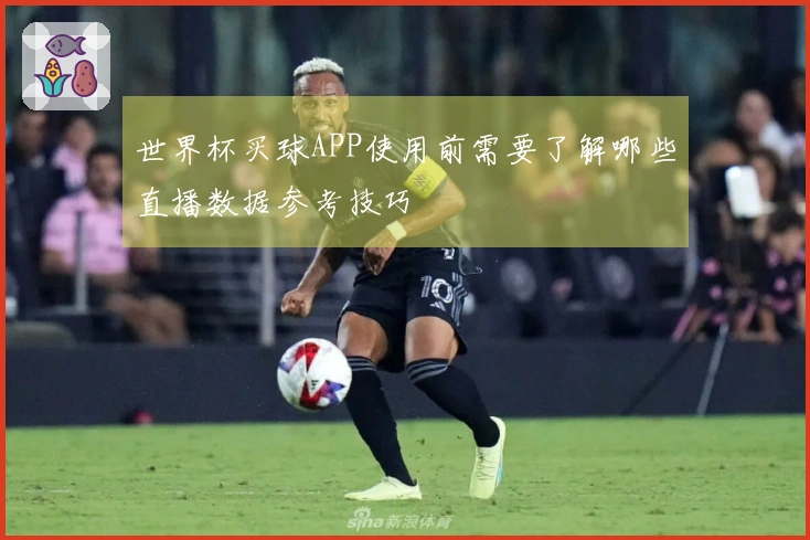 世界杯买球APP使用前需要了解哪些直播数据参考技巧