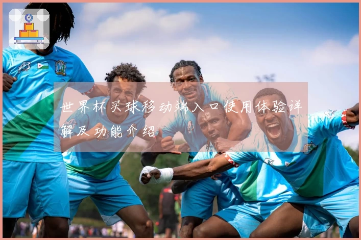 世界杯买球移动端入口使用体验详解及功能介绍