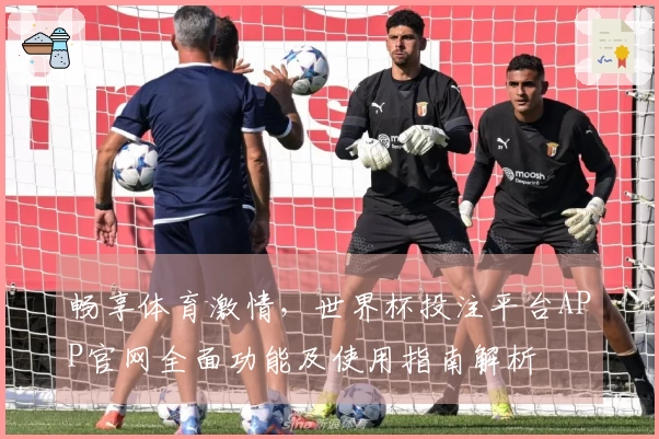 畅享体育激情，世界杯投注平台APP官网全面功能及使用指南解析
