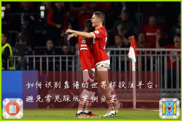 如何识别靠谱的世界杯投注平台，避免常见踩坑案例分享