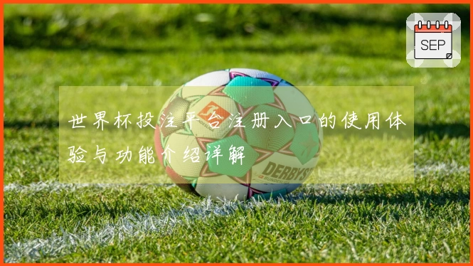世界杯投注平台注册入口的使用体验与功能介绍详解