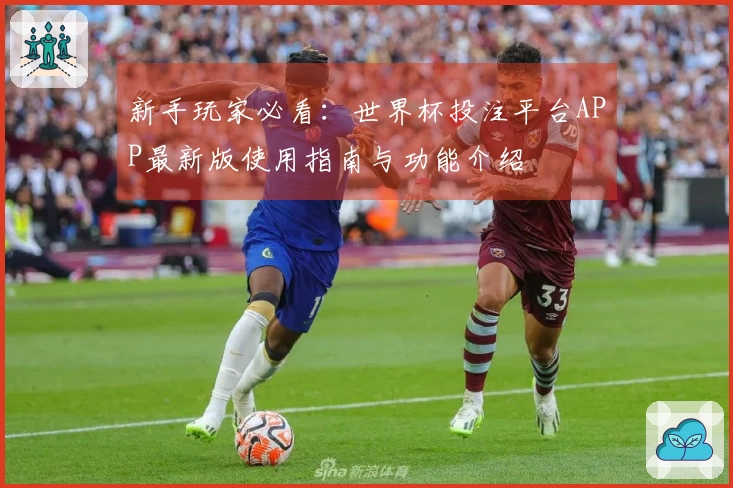 新手玩家必看：世界杯投注平台APP最新版使用指南与功能介绍