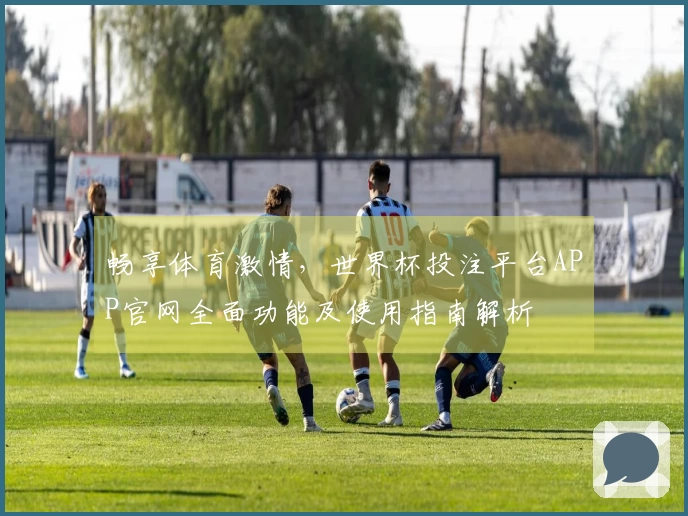 畅享体育激情，世界杯投注平台APP官网全面功能及使用指南解析