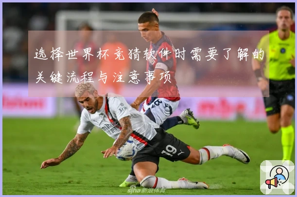 选择世界杯竞猜软件时需要了解的关键流程与注意事项