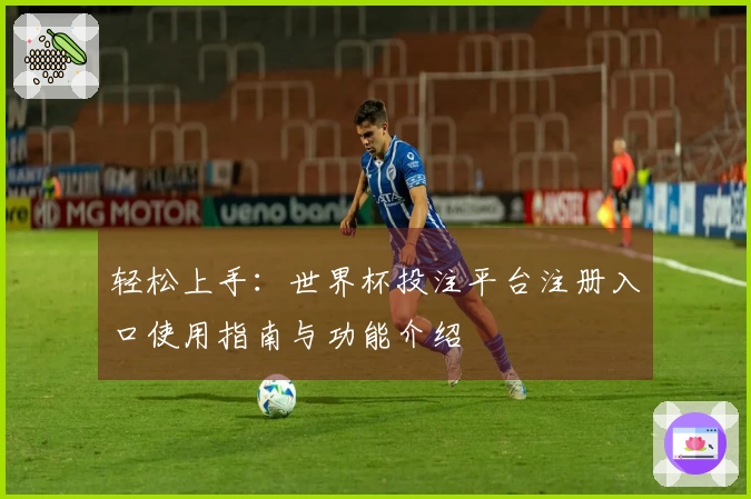 轻松上手：世界杯投注平台注册入口使用指南与功能介绍